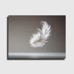 Wall art – Feather in Suspension